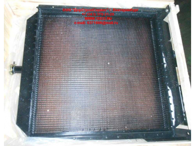 Радиатор охлаждения двигателя CDM 855EK Lonking CDM (СДМ) CDM855EK.01I.04 фото 1 Чита