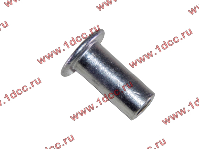 Заклепка алюминиевая 10х24 H2/H3 HOWO (ХОВО) 189000340068 AL фото 1 Чита