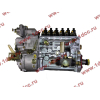ТНВД WP10 SH2 BOWEI SHAANXI / Shacman (ШАНКСИ / Шакман) 612601080376 фото 2 Чита
