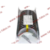 Вкладыши шатунные WP12 (комплект) SH HUATAI SHAANXI / Shacman (ШАНКСИ / Шакман) 612630020018/19 фото 2 Чита
