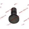 Стакан штанги-толкателя двигатель TD226B6G LONGGONG Lonking CDM (СДМ) 12273399 фото 3 Чита