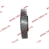 Шестерня привода распредвала промежуточная WD615/WP10 HOWO (ХОВО) VG1560050053/61560050053 фото 3 Чита