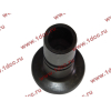 Стакан штанги-толкателя двигатель TD226B6G LONGGONG Lonking CDM (СДМ) 12273399 фото 4 Чита