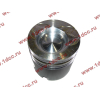 Поршневая группа WD615G.220 CDM855 Lonking CDM (СДМ) 612600030015 фото 3 Чита